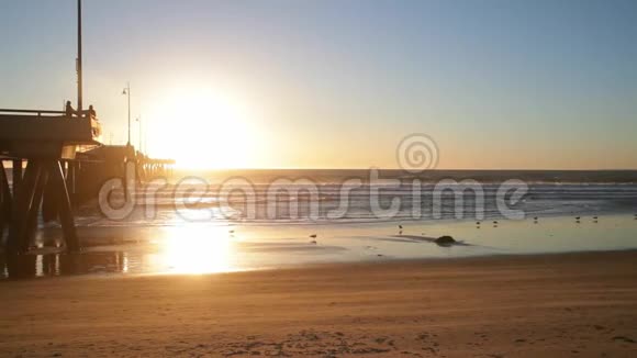 在海滩上拿冲浪板的年轻女孩站在海边冲浪的女人美丽的日落风在吹拂视频的预览图