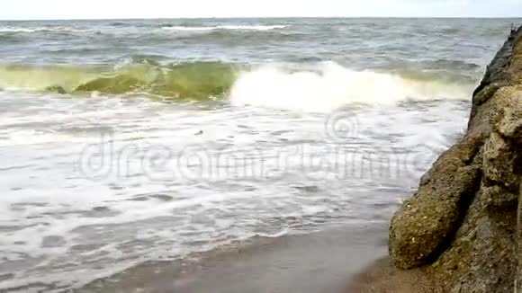 波罗的海乌斯卡波兰与鼹鼠冲浪视频的预览图