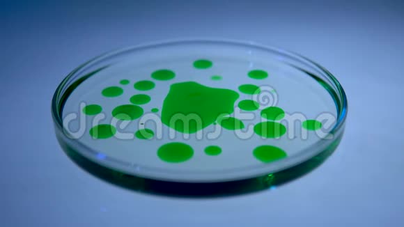 培养皿中的化学研究带绿色液体的实验室吸管视频的预览图
