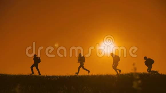 人们徒步旅行的人群幸福地奔跑着四个人在夕阳的上方遛达着游客阳光下的狗影视频的预览图