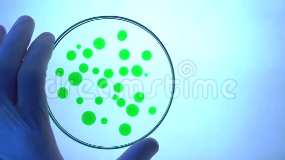 培养皿中的化学研究带绿色液体的实验室吸管视频的预览图