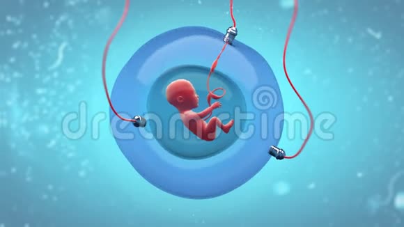 人工妊娠囊胎头发育视频的预览图