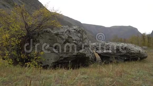 西伯利亚阿尔泰山间山谷的风景视频的预览图