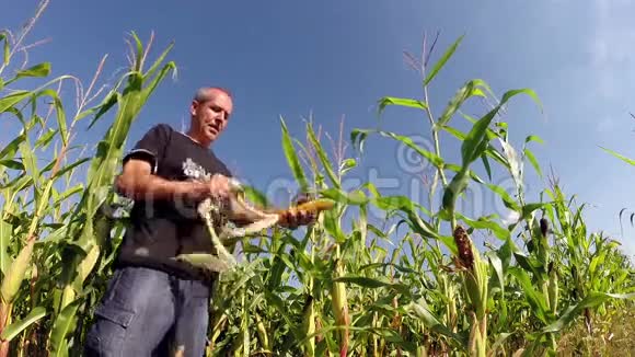 农场主在田里检查他的玉米作物视频的预览图