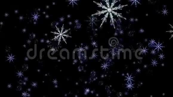 美丽的冬天白色和蓝色的雪花在黑色的背景上飘落和向上无缝的循环动画视频的预览图