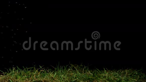 肮脏的足球在草地上滚动视频的预览图