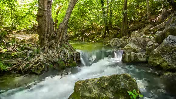 快速的山河在绿岩间流动视频的预览图