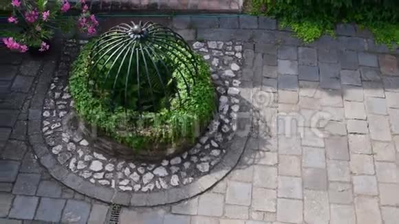 历史悠久的庭院有着美丽花朵和历史水井的历史住宅视频的预览图