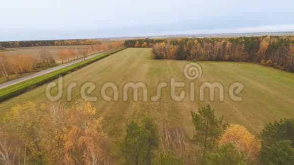 鸟瞰秋林白俄罗斯视频的预览图