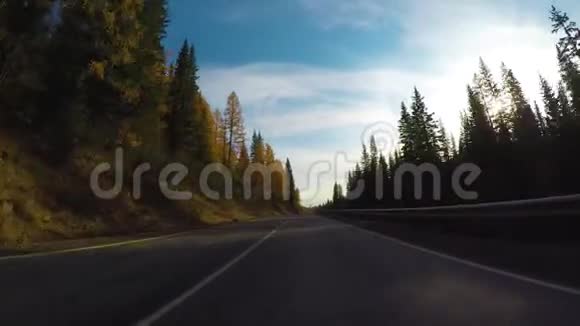 在秋天的白天开车沿着一条安静的乡村公路行驶视频的预览图