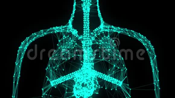 连接点人体解剖模型三维渲染背景医学概念视频的预览图