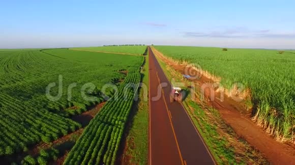 圣保罗州公路人工大豆和甘蔗种植园巴西视频的预览图