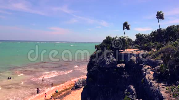 海滩悬崖俯瞰风棕榈视频的预览图