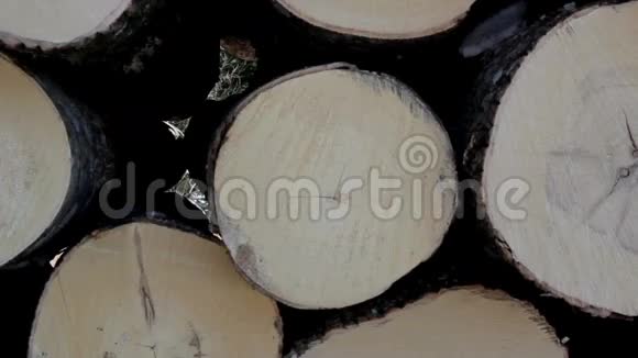 原木木端的特写图像视频的预览图