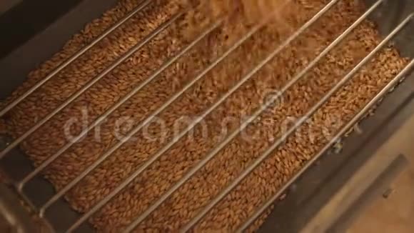 啤酒厂生产啤酒用麦芽的研磨在电磨中粉碎麦芽关门视频的预览图