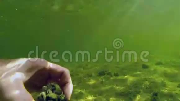 抱着一块石头浸在湖里视频的预览图
