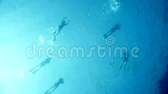 潜水员在水深处游泳红海视频的预览图
