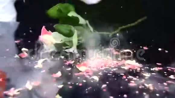 桌上的冻玫瑰掉下来摔碎了慢慢视频的预览图