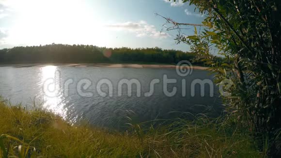 夏日阳光河日自然背景4K视频的预览图