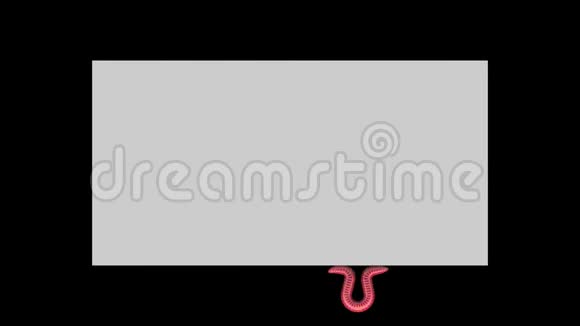 灰色矩形上的蠕虫循环三维动画视频的预览图
