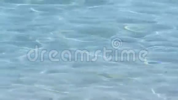 波状海面的视频视频的预览图