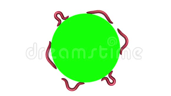 绿色圆圈上的蠕虫循环3D动画视频的预览图
