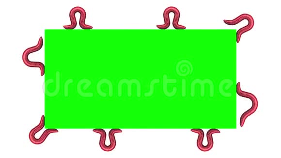 绿色矩形上的蠕虫循环三维动画视频的预览图