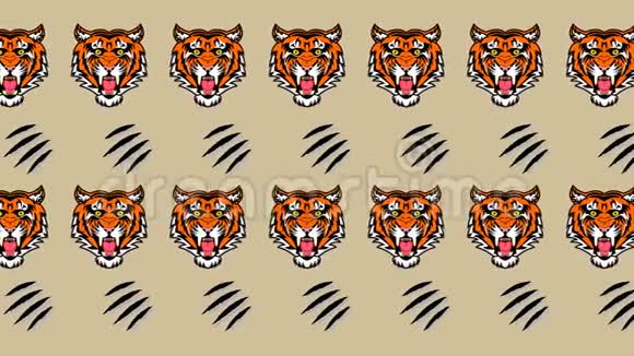 老虎和锋利的爪子动画视频的预览图