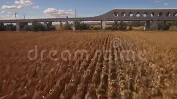 快车进入耕地附近的桥梁视频的预览图