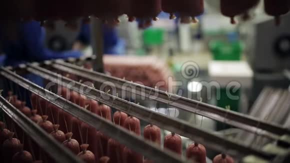 肉行业香肠的生产熏香肠肉类制剂健康食品生香肠视频的预览图