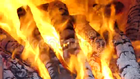 从木炭和木柴中燃烧火焰视频的预览图