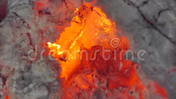 从木炭和木柴中燃烧火焰视频的预览图