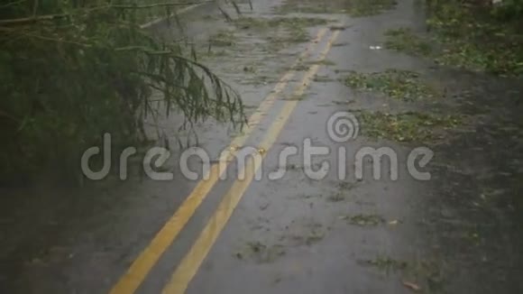蜿蜒穿过倒下的树木并在道路上因台风而退化视频的预览图