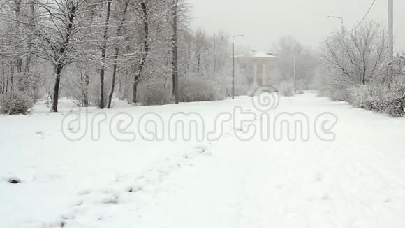 冬天下雪时的公园小巷视频的预览图