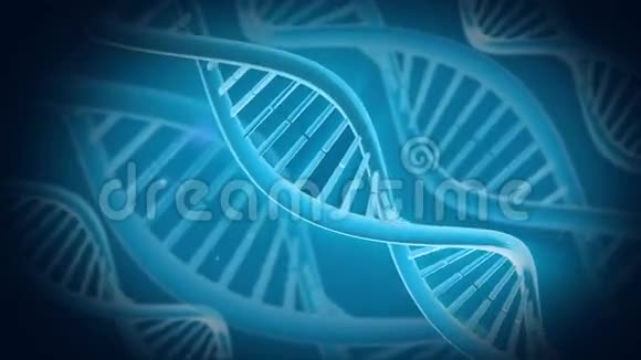 DNA动画视频的预览图