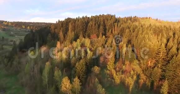 日落于森林空中观景视频的预览图