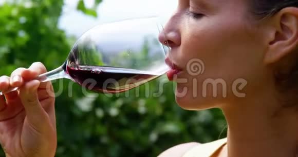 女人喝红酒的时候视频的预览图