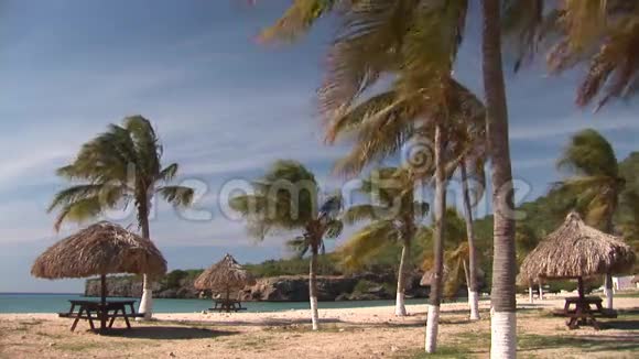 库拉索岛的秘密海滩视频的预览图