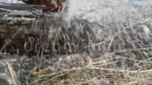 一个人用电锯砍干树干锯末到处飞视频的预览图