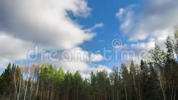 蓝天和树木视频的预览图