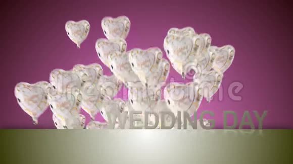 幸福的婚礼视频的预览图