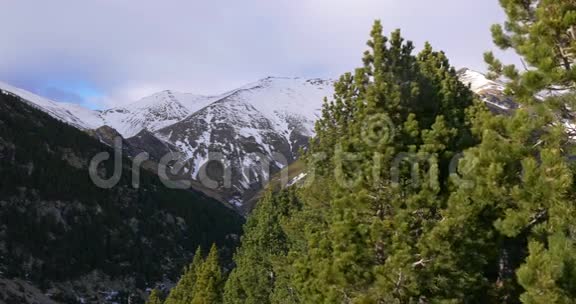 西班牙雪山松全景视频的预览图