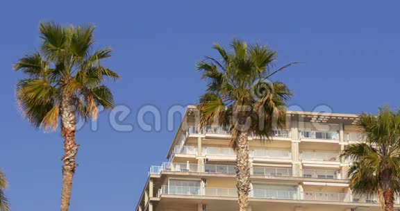 蓝天4k酒店景观棕榈来自西班牙视频的预览图