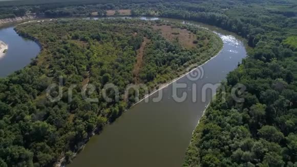 俄罗斯美丽的风景森林和河流自然视频的预览图