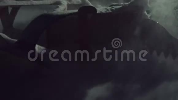 越野滑雪用雪上摩托视频的预览图