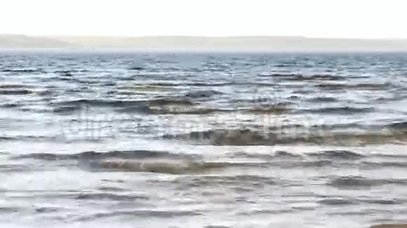 大寒洋蓝波视频的预览图