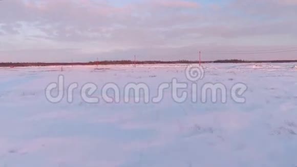 无人机飞在电线下面日落时的雪冬树空中景色视频的预览图