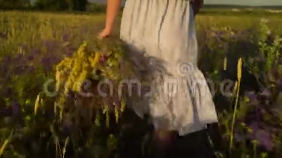 年轻女子带着田野的鲜花漫步视频的预览图