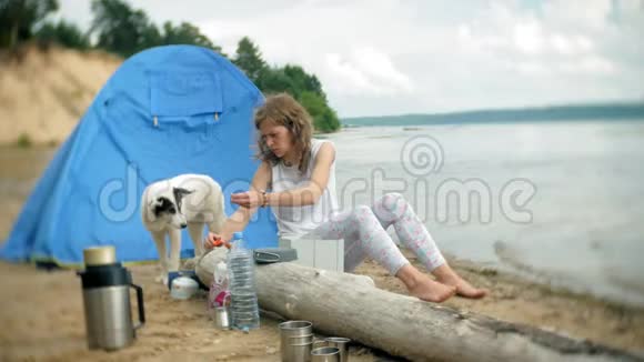 女人在露营时用帐篷做食物狗在旁边散步视频的预览图