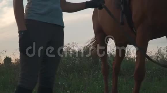 女孩牵着马去缰绳视频的预览图